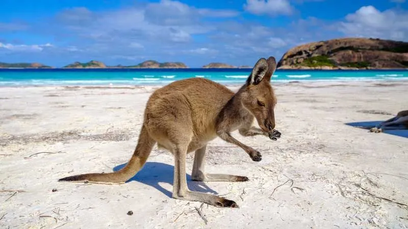 17 Great places to visit in Australia